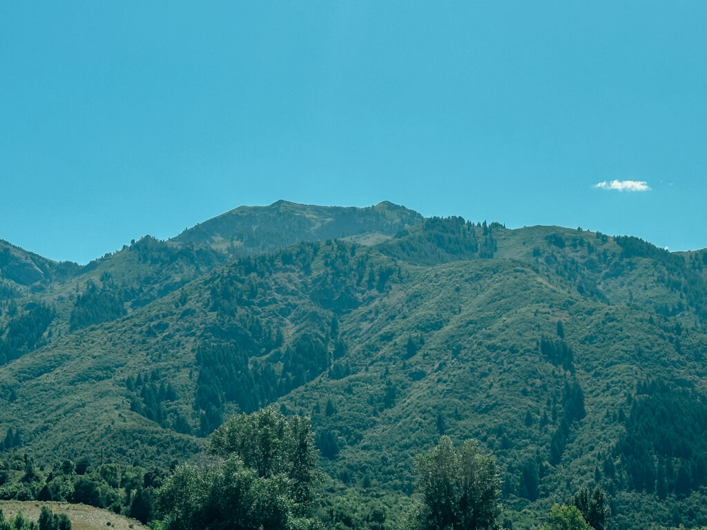 A mountain scene in Parley's Canyon, UT.