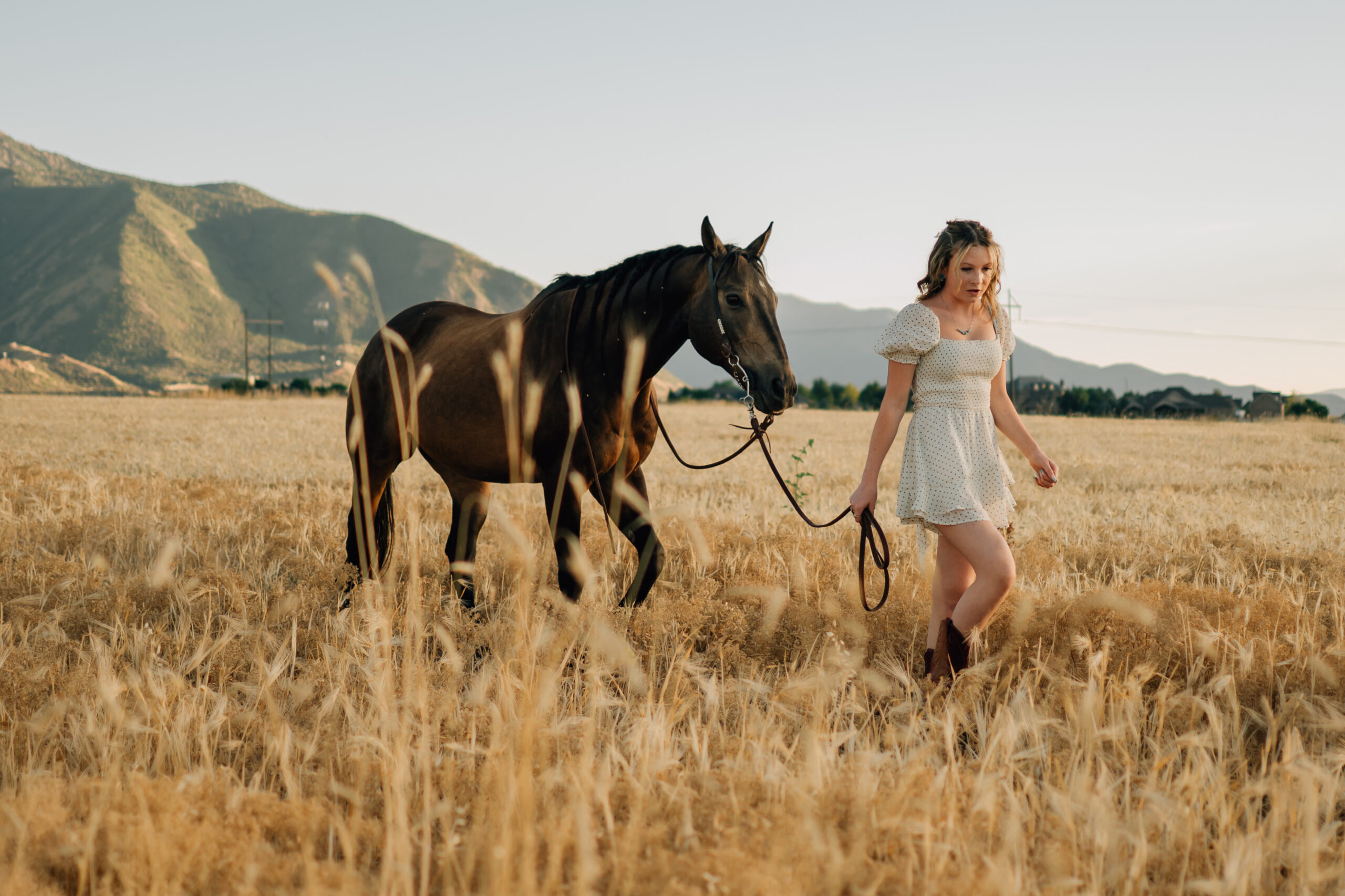 Just a girl with her horse. As the sun is setting a girl leads her horse through a field while the sun sets