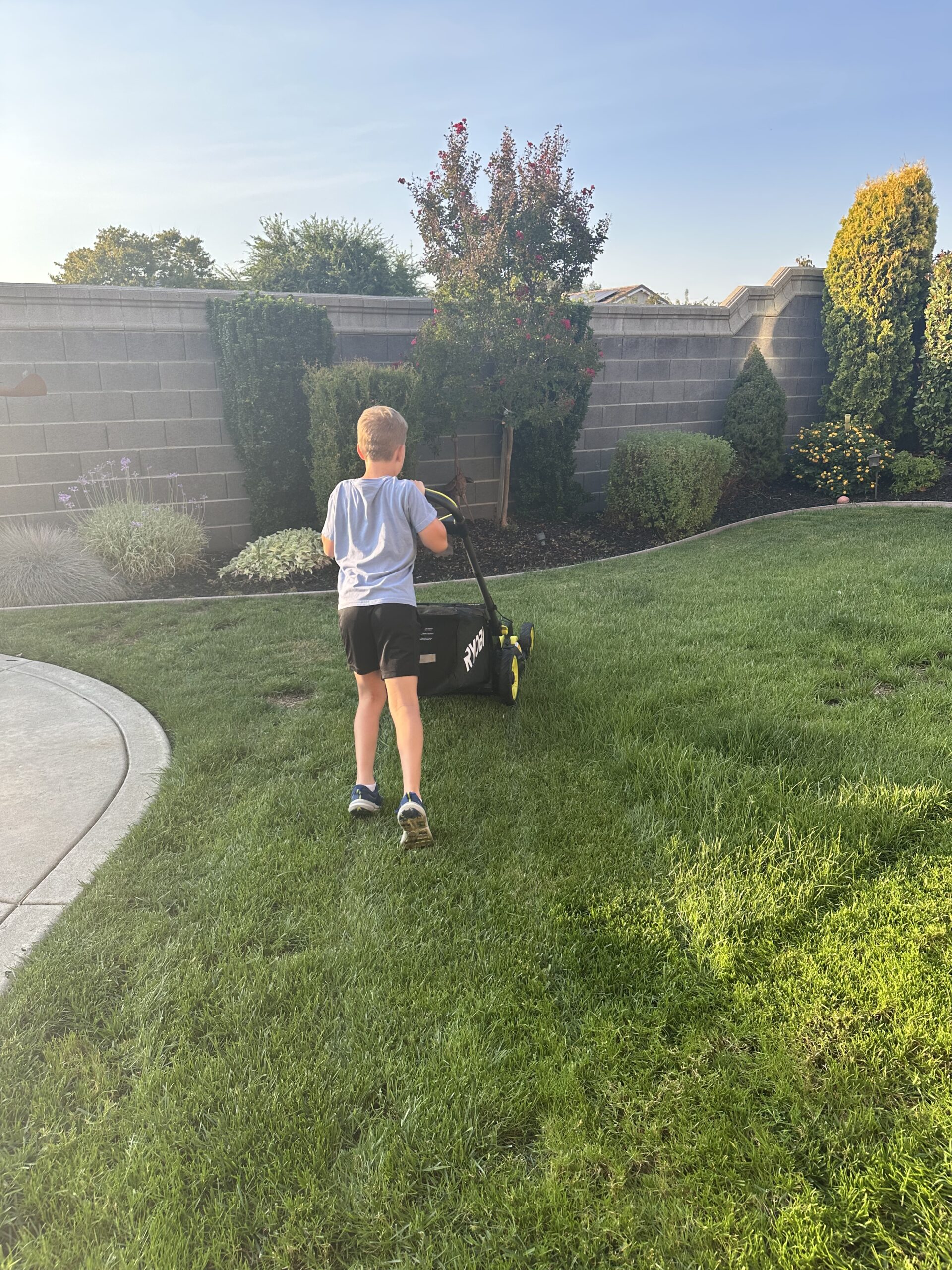Learning to mow in Rocklin CA