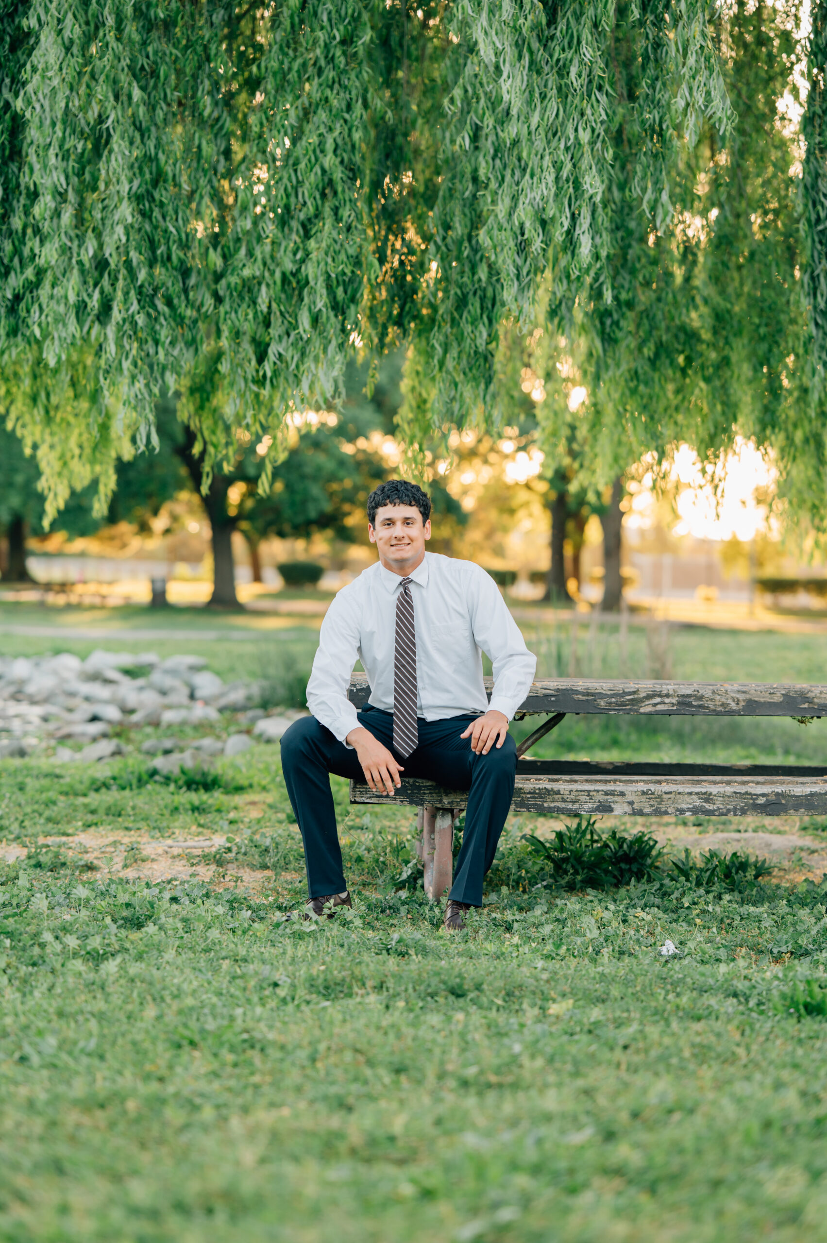 Senior boy sitting on a bench in front of a willow tree during golden hour at Shumway Oak Grove Park in Stockton 
