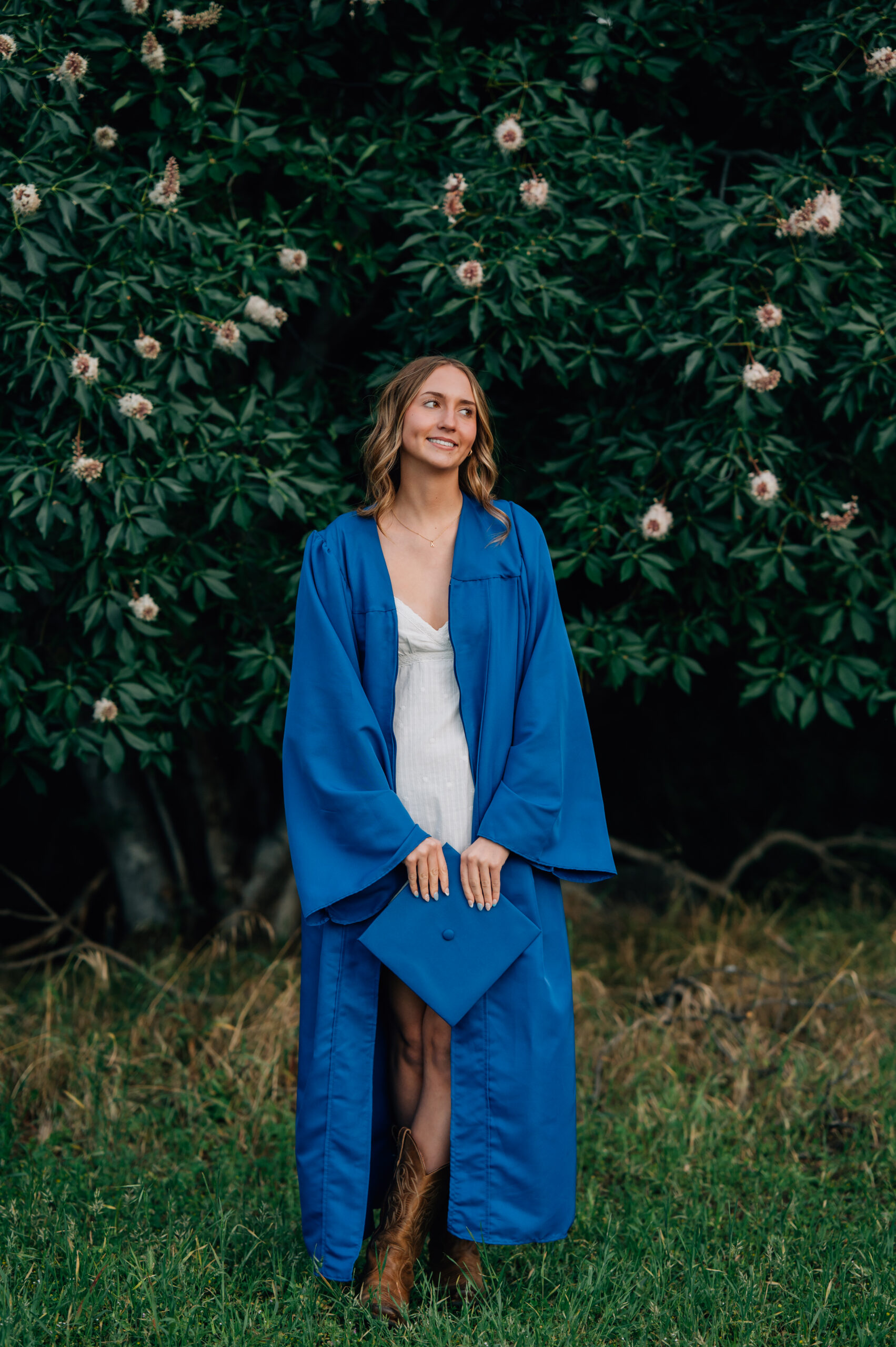 High school graduate wearing blue cap and gown surrounded by greenery during outdoor senior portraits in Penryn.