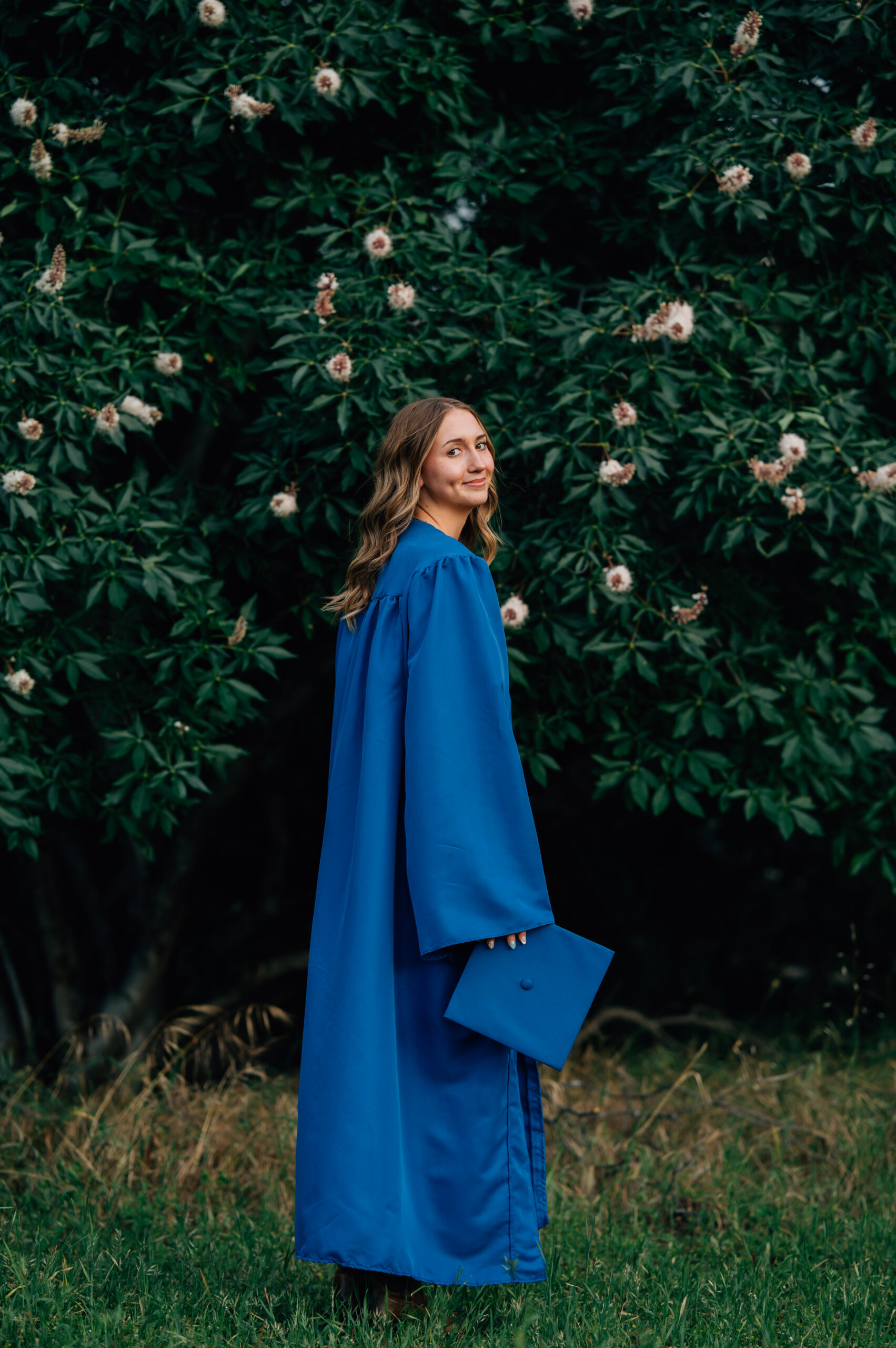 High school graduate wearing blue gown and holding her cap surrounded by greenery during outdoor senior portraits in Penryn.