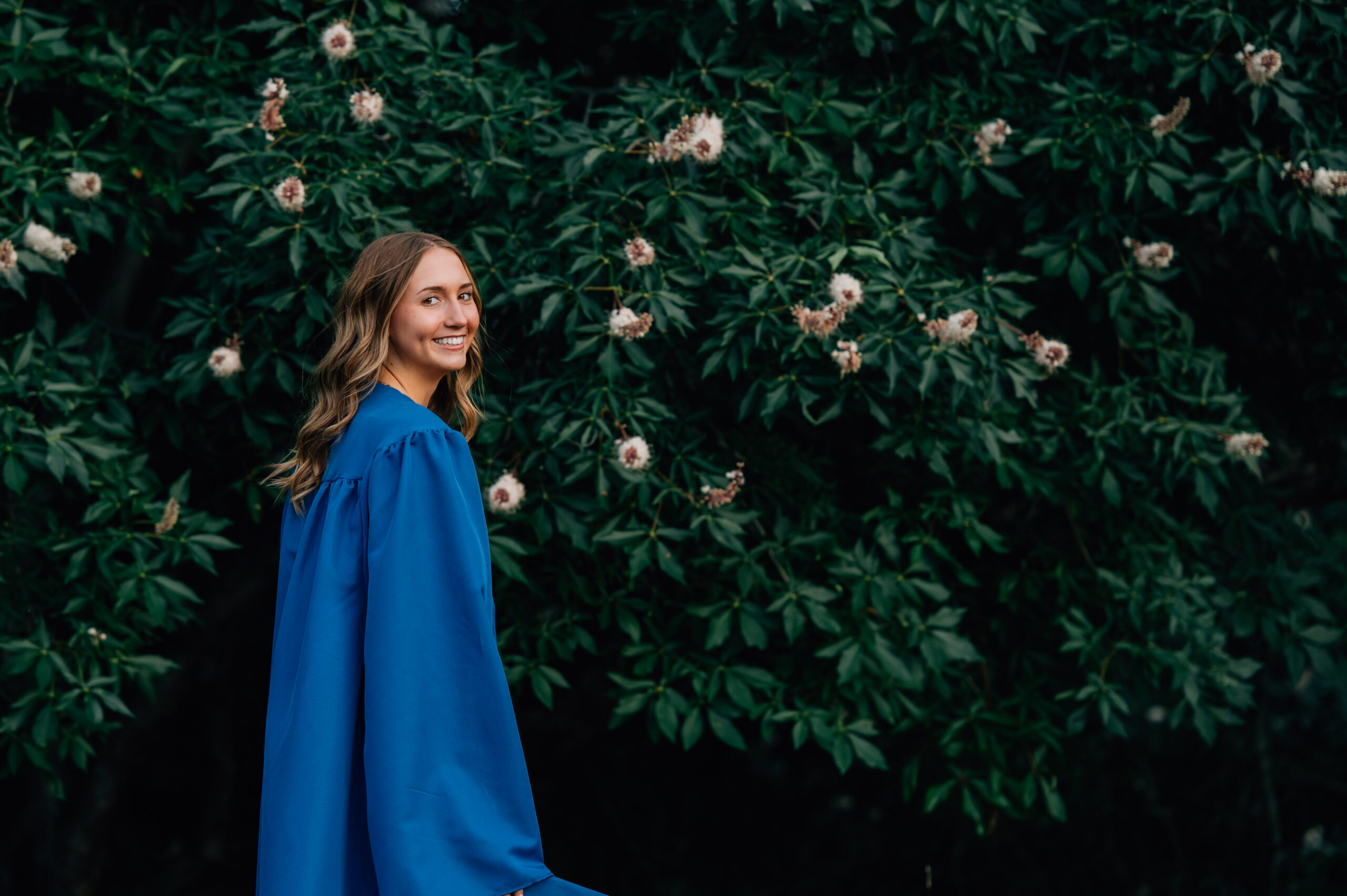 Outdoor graduation portrait of senior girl in royal blue cap and gown standing in front of blooming greenery.