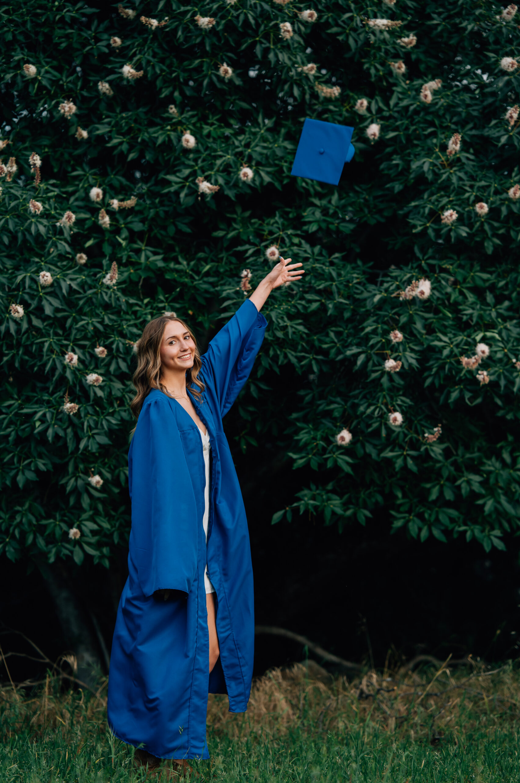 High school graduate wearing blue  gown and tossing cap surrounded by greenery during outdoor senior portraits in Penryn.